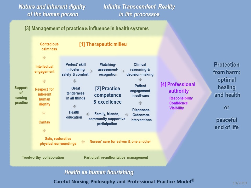 Professional Practice Model Careful Nursing